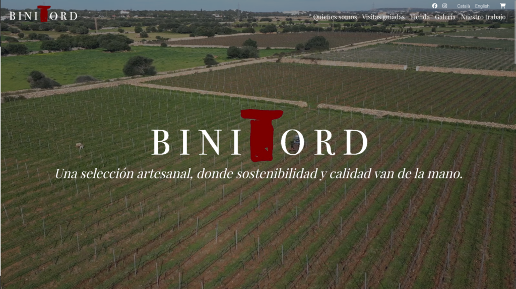 bini tord
